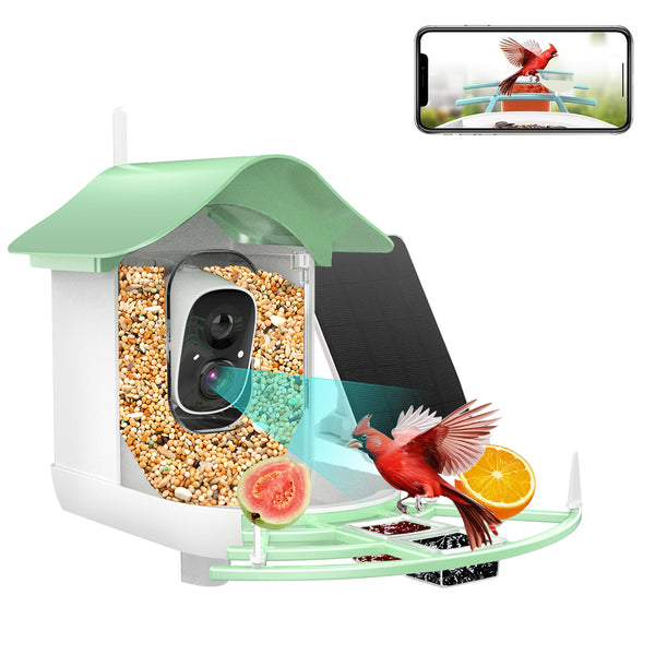 Smart Birds Feeder Type A