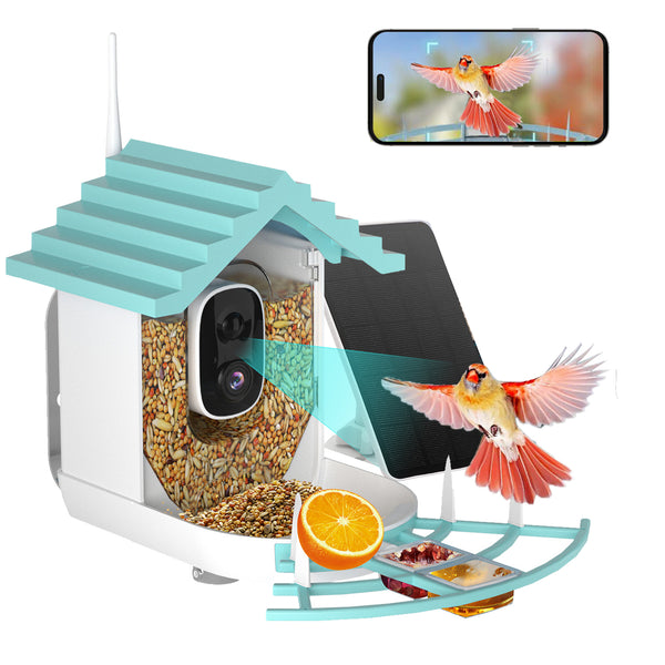 Smart Birds Feeder Type B